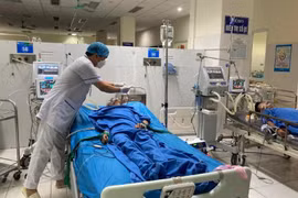 8 người ngộ độc mật cá trắm ở Bắc Kạn