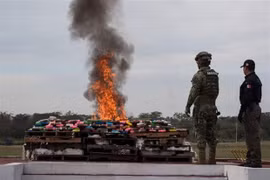 Mexico thu giữ lượng chất gây nghiện lớn nhất trong lịch sử