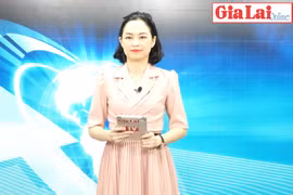 Gia Lai 48h: Cả nước thi hành kỷ luật 190 tổ chức Đảng và 8.583 đảng viên