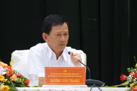 Kon Tum: Bệnh hại trên cây sâm Ngọc Linh lan rộng, Bí thư Tỉnh ủy "truy" trách nhiệm