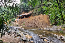 ĐIỀU TRA: Rầm rộ khoét núi, phá rừng tìm vàng - Đại công trường trái phép