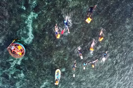 Quảng Ngãi lần đầu tiên tổ chức cuộc thi bơi vượt biển tại đảo Lý Sơn