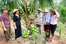 Chư Pưh: Tuổi cao nêu gương sáng