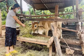 Gia Lai: Thực hiện chiến lược công tác dân tộc giai đoạn 2021-2030, tầm nhìn đến năm 2045