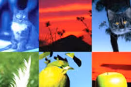 Công cụ AI mới giúp biến lời nói thành nghệ thuật