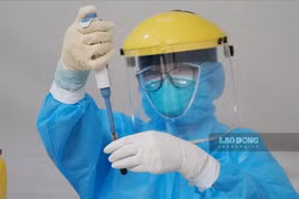 Thêm một biến thể phụ của Omicron xuất hiện tại Việt Nam