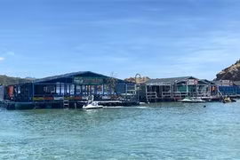 Bình Định: Chấn chỉnh các nhà hàng bè nổi hoạt động tự phát ở Hòn Khô