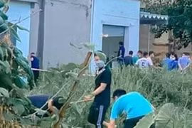 Công an TP.Hải Phòng thông tin chính thức vụ thi thể lìa đầu