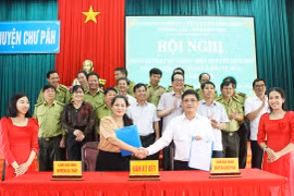 Gia Lai-Kon Tum: Tổng kết quy chế phối hợp trong quản lý bảo vệ rừng giáp ranh