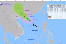 Công điện của Thủ tướng Chính phủ yêu cầu tập trung ứng phó bão số 1 và mưa lũ