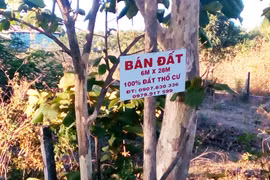 Minh bạch với đất