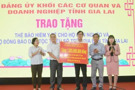 Gia Lai: Trao 23.176 thẻ bảo hiểm y tế cho hộ cận nghèo, hộ dân tộc thiểu số