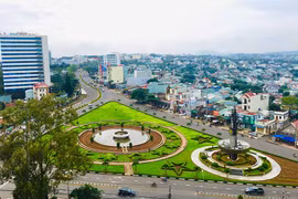 Chủ động triển khai nhiệm vụ theo chỉ đạo của Chính phủ và Chủ tịch UBND tỉnh