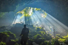 Hoang sơ quần thể hang động núi lửa ở Đắk Nông