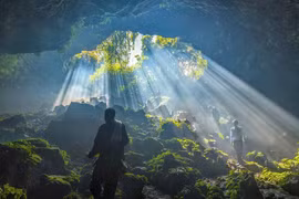 Hoang sơ quần thể hang động núi lửa ở Đắk Nông