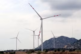 Kiến nghị cho phép nhà đầu tư dự án điện gió đàm phán giá bán với EVN