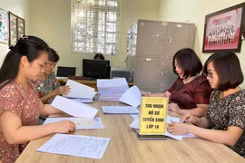 "Heo vàng" chen chân vào lớp 10