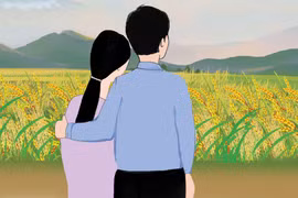 Hương lúa trổ đòng