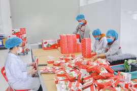 Lâm Đồng có gần 12.000 doanh nghiệp tư nhân