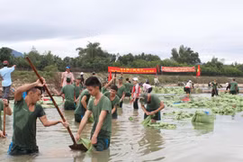 Tuổi trẻ Quân đoàn 3: Xung kích, sáng tạo, hướng về cơ sở