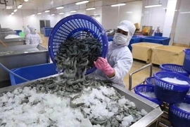 Doanh nghiệp xuất khẩu tôm đối diện áp lực chi phí và nguyên liệu
