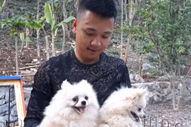 Thôi lang thang, về làng nuôi chó cảnh, trai trẻ kiếm hơn 100 triệu