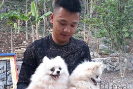 Thôi lang thang, về làng nuôi chó cảnh, trai trẻ kiếm hơn 100 triệu