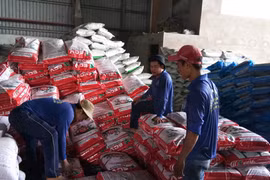 "Bát nháo" thị trường phân bón: Nhà nhà, người người làm NPK