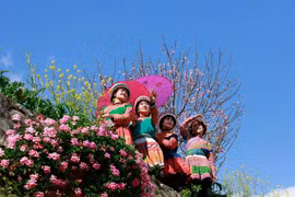 Du khách đổ lên Fansipan chiêm ngưỡng 600 cây đào đồng loạt khoe sắc