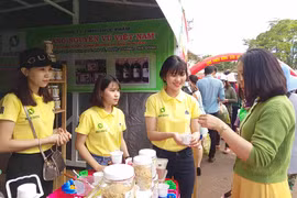 "Mèo nhỏ bắt chuột nhỏ"