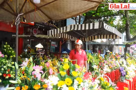 Phố núi rộn ràng ngày 8-3