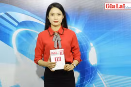 Gia Lai 48h: Phối hợp tổ chức sự kiện kết nối cung-cầu công nghệ