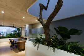 Chung cư xanh rờn trên mảnh đất 100 m2 ở Vũng Tàu