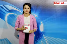 Gia Lai 48h: Ngành Tài chính Gia Lai linh hoạt điều hành ngân sách