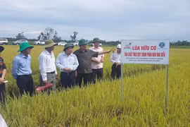 Khai thác 'kho báu' để nông dân làm giàu