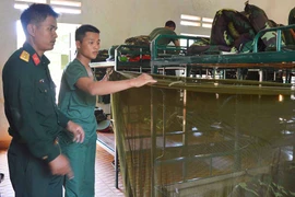 Thay đổi thói quen để trưởng thành