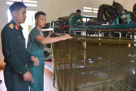 Thay đổi thói quen để trưởng thành