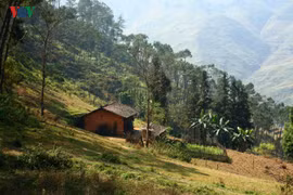 Cao nguyên đá Đồng Văn: Danh thắng hoang sơ và hùng vĩ