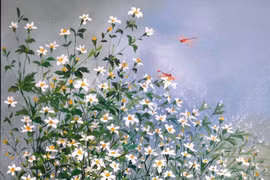 Xuyến chi mùa gió