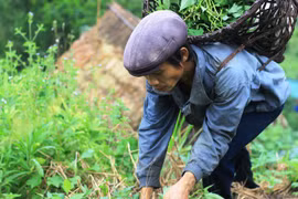 'Người rừng' vẫn chưa có cô gái nào'ưng cái bụng'sau 6 năm về làng