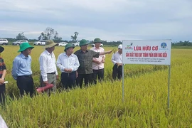 Khai thác 'kho báu' để nông dân làm giàu