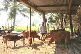 Nhịp sống mới ở làng Kte Lớn A