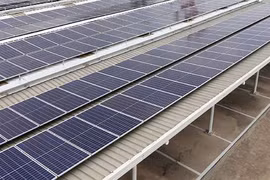 Nhà đầu tư Anh hào hứng với lĩnh vực năng lượng tái tạo