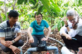 Lâm Đồng: Tiết kiệm 50% nước tưới cà phê bằng công nghệ thông minh