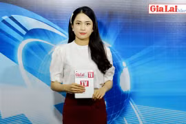 Gia Lai 48h: Cây trồng có khả năng bị thiệt hại do thiếu nước tưới