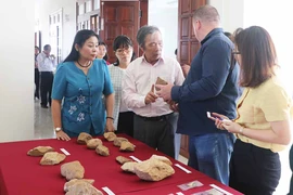 Hội thảo QT về khảo cổ học tại An Khê:Trưng bày hàng ngàn hiện vật