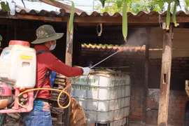 Đắk Lắk: Cấp tốc công bố dịch lở mồm long móng, 8 huyện, thị "dính"