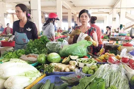 Rau an toàn ra chợ