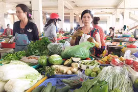 Rau an toàn ra chợ