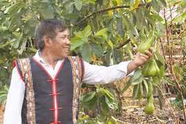 Già làng Rơ Châm Rích: Làm dân tin, nói dân nghe